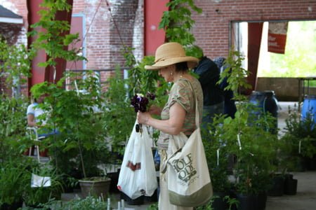 Get Out to These Green Events and Festivities in the GTA this Summer